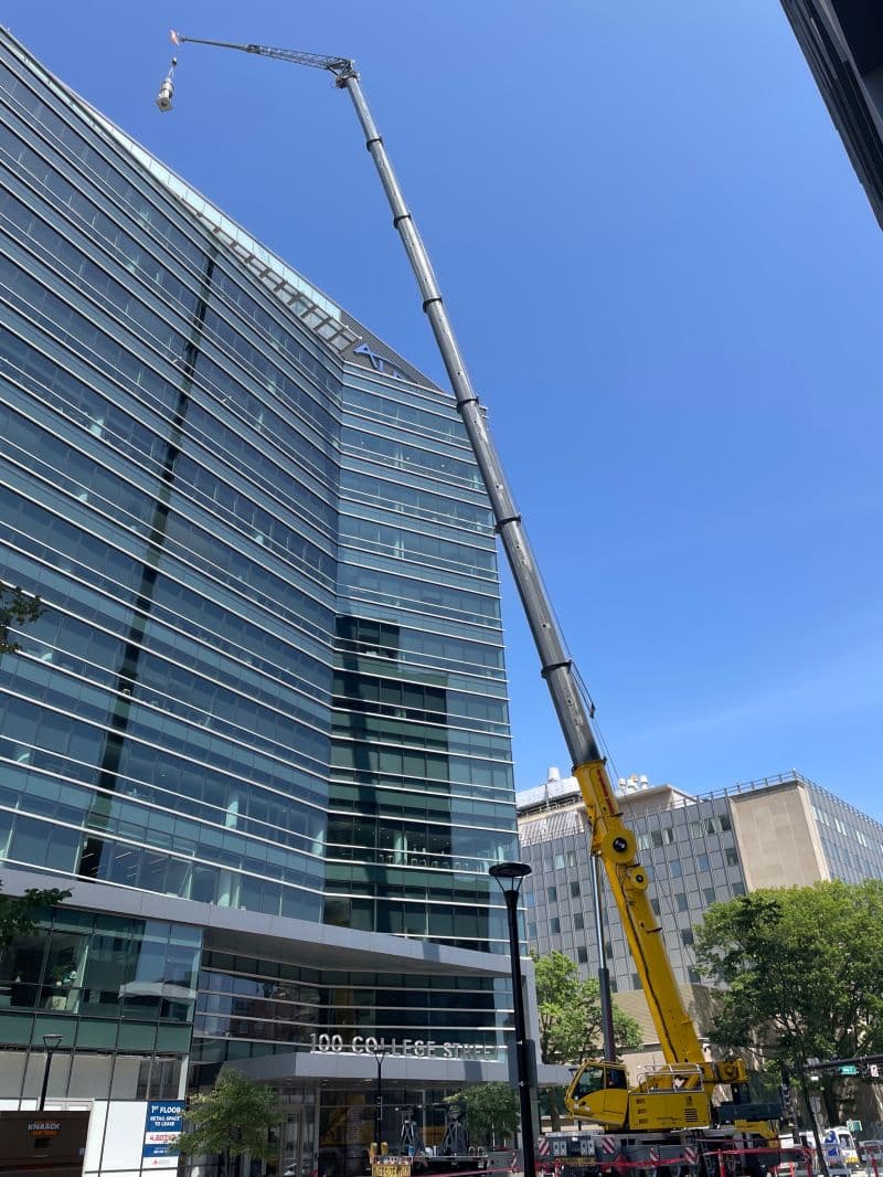 Sunday Crane Picks at 100 College Street, New Haven, CT