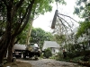 Tree Removal with Crane